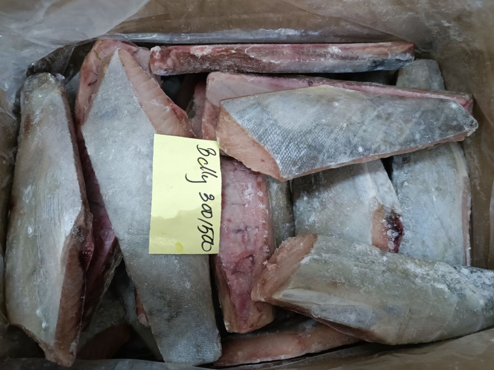 frozen-tuna-belly-phuong-nam-aquatic-product-import-export-company